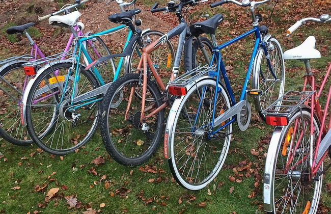 4 Person Holiday Home in Ronneby-by Traum - Photo 10