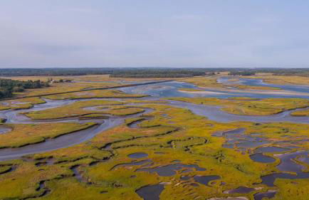 A Wave from it All by Bayley Vacation Rentals - Foto 10