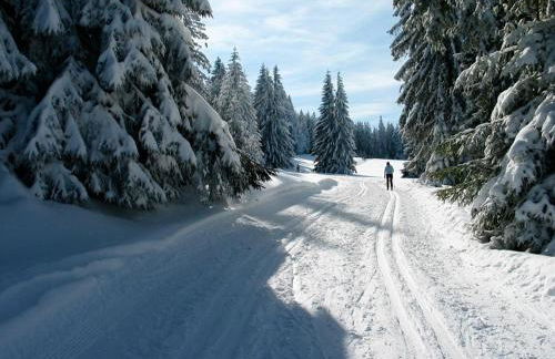 Haus Janßen-Wehrle - Foto 18