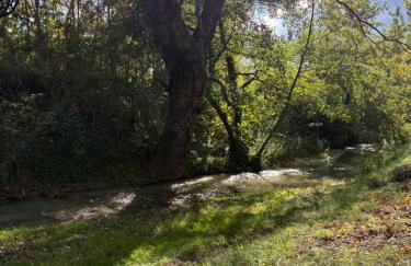 Le petit Auzon - Foto 53