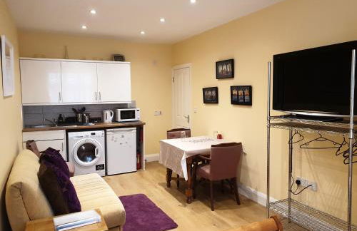 London VEGETARIAN Smoke & Pet Free En-suite with EV parking - Foto 8