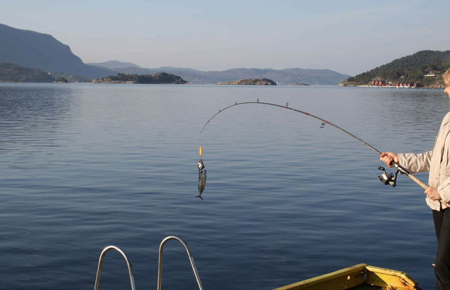 4 Person Holiday Home in Fister - Photo 26