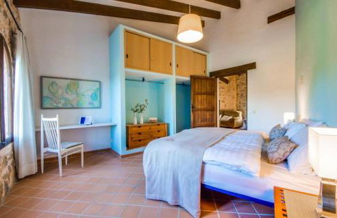 Higo Chumbo - Foto 37