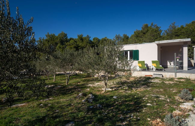 Olive Eden - Foto 53