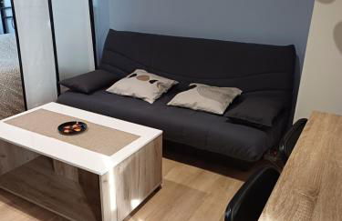 Charmant studio au rez de chaussée - Foto 7