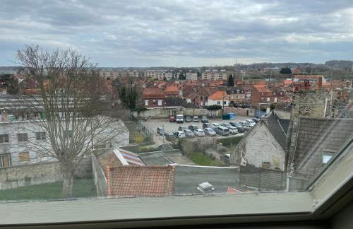 Le Flamand - Foto 19