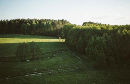 Agroturystyka u Miłosza - Foto 16