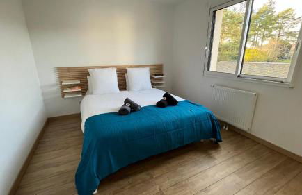 Au gré des oiseaux - Photo 21