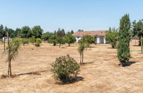 Remodeled 1 Acre Ranch Home in Madera - Foto 29