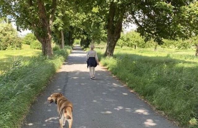 Holiday Apartment Elbe - Foto 35