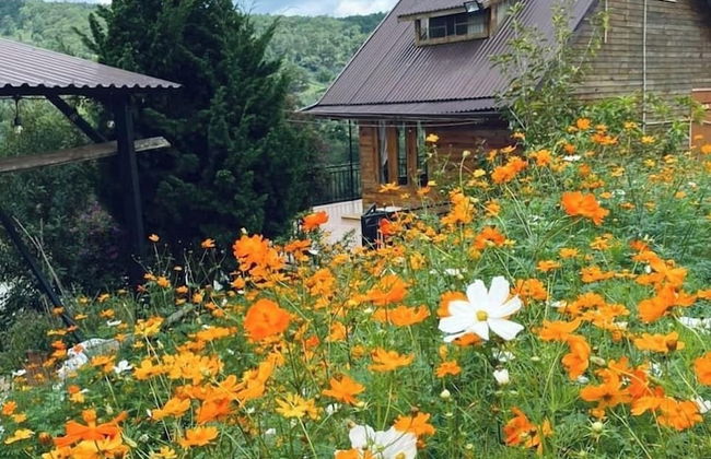 Chahill Dalat - Foto 22