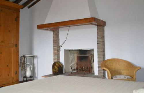 Il Rustico Vicopisano - Foto 10