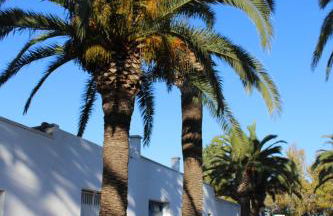 Lo Segador - Foto 34