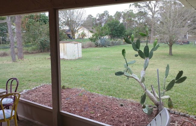 Avis House - Foto 17