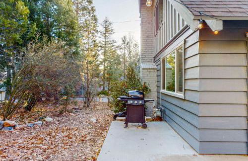 Saint Bernard Beauty - Foto 21