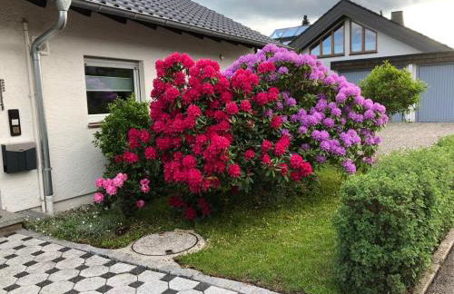 Ferienwohnung Schwarzwaldhirsch - Foto 22