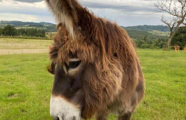 Les Perruchons ancienne grange rénovée avec soin - Foto 46
