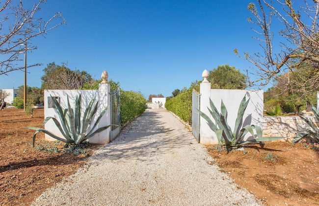 122 Lamia Madreperla by Barbarhouse - Foto 39