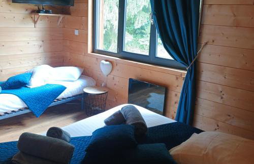 Chalet Bois le Havre du sotrè Gérardmer Sauna panoramique jacuzzi 14 personnes et 1 bébé - Photo 54