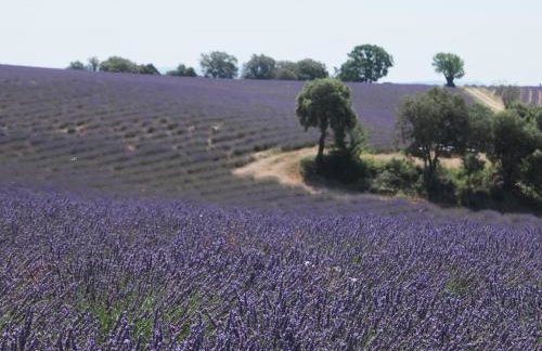 Une Heure Bleue - Foto 23