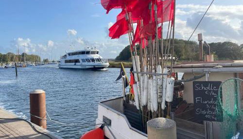 Apartment Boddenferienhaus - 13 Treibholz by Interhome - Photo 2