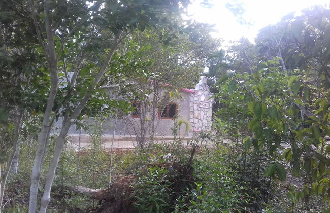 Hotel y Temazcal en Solferino - Foto 65