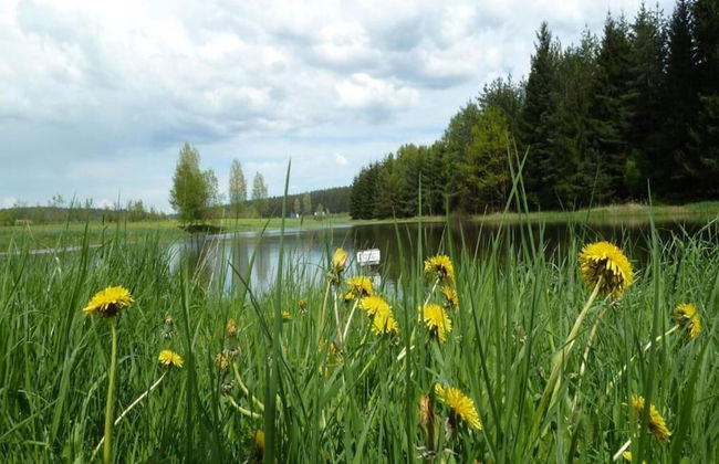 Charming Forest Escape for Two - Foto 28