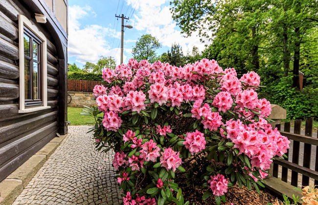 Arnoltice 6 - Foto 24