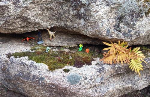 Bergerie U Caseddu - Foto 16