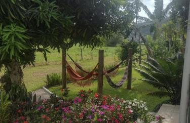 Cantinho da nona Nova Trento SC - Foto 30