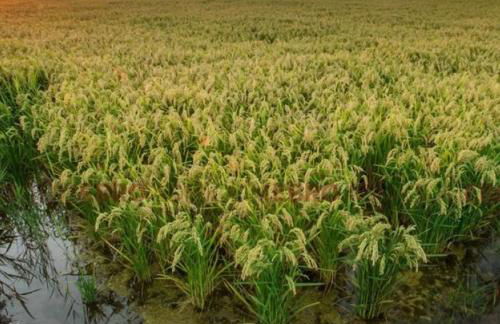 Allotjament turistic Casa Serral-Ocampo - Foto 50