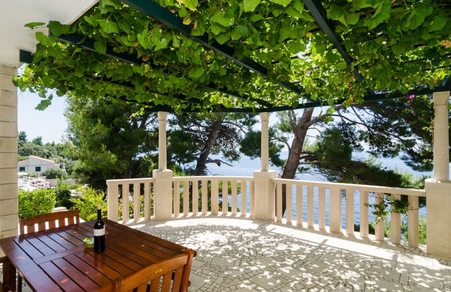 Plavac Mali - Photo 6