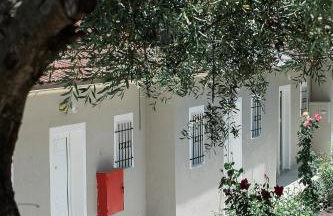 Olive Grove Poolside Apartments - Foto 41