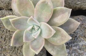 Casa da Arquinha - Photo 49