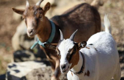 CHEZ Xavier - Foto 36