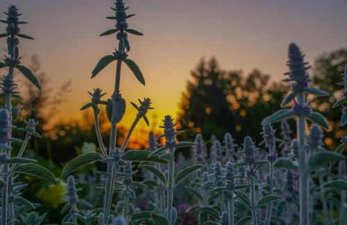 Romantik Unterkünfte Gut Rechetsberg - Foto 37