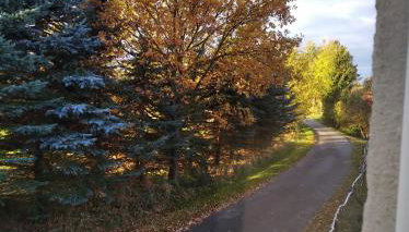 Róże i Jabłonie Agroturystyka - Foto 5