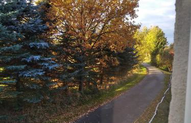 Róże i Jabłonie Agroturystyka - Foto 5