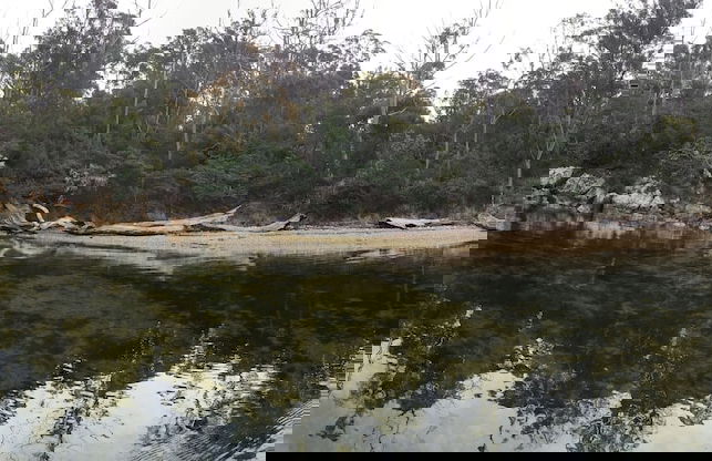 Free Spirit Pods - Foto 10