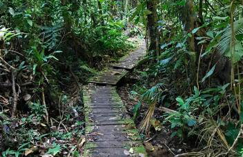 Casa da Floresta Barra do Una - Litoral Norte - Foto 28