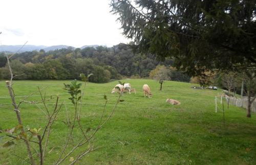 Larzabalea - Foto 17