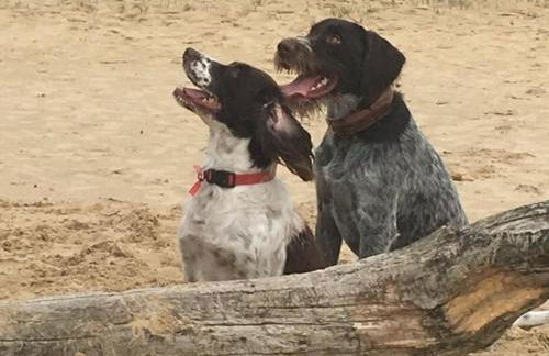 Gite La Folie - Foto 50