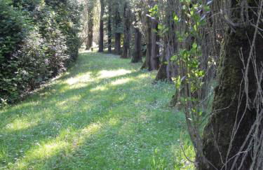 Holiday Home Giaron - Foto 38