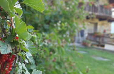 Agriturismo La Clochette - Foto 20