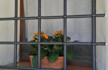 La dolce vite - Foto 26