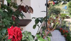 Pod Gruszą - Foto 2