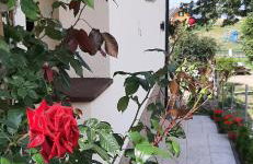 Pod Gruszą - Foto 2