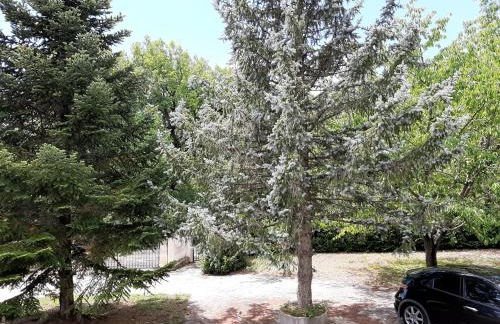 Villa Angela Santa Maria del Molise - Foto 8