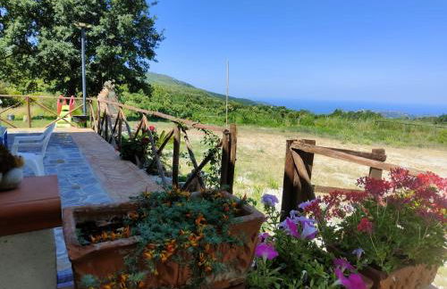 La casa in campagna - Foto 3