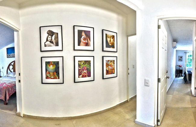 HominngBird - Foto 68